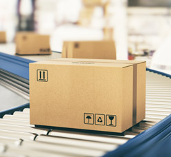 Verpackungsrichtlinie-Verpackungsverordnung-Versand-ins-Ausland_248x228