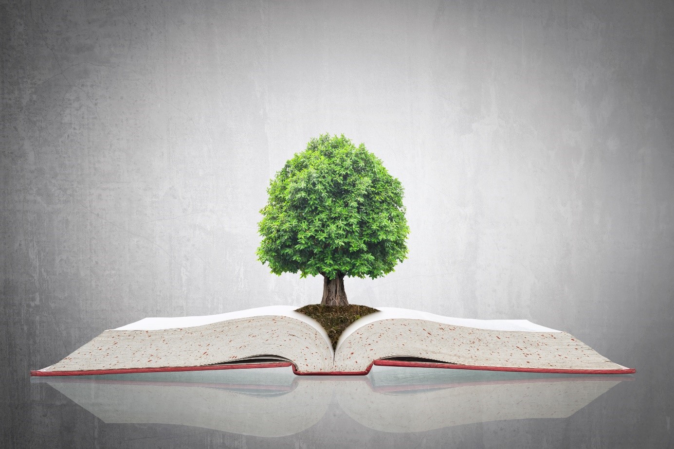Lampen-EPR – Gesetzesbuch mit Baum (Umweltschutz und Nachhaltigkeit)